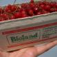 Biolandin Herkukoita 
