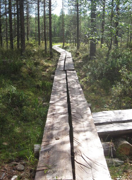 Paluumuuttajat. Kuva: Anri Kuivalainen
