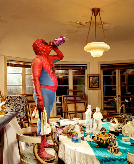Domestic Heroes
