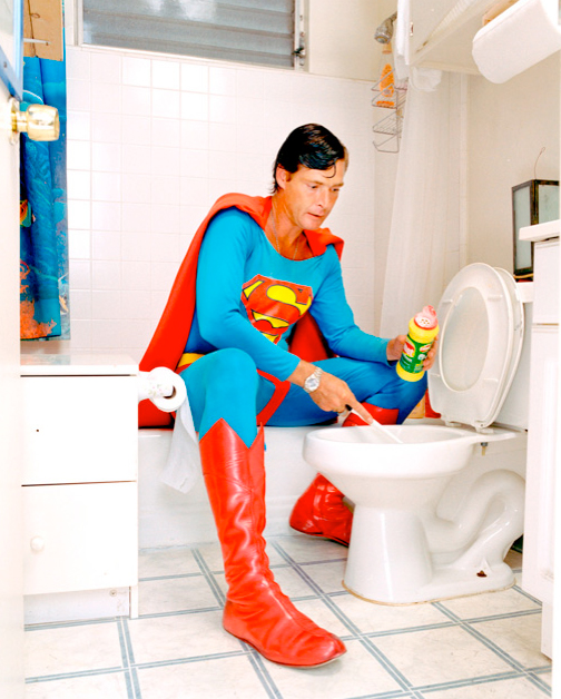 Domestic Heroes