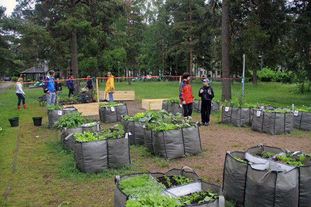 Sissipuutarhurit Myllypurossa 26.7. TV2. Kuva: Eero Liimatainen.