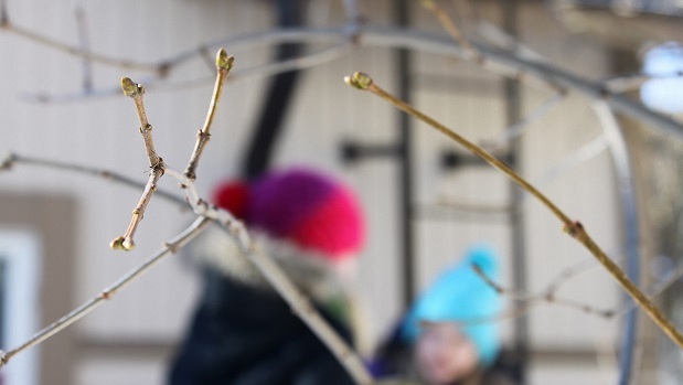 Lastenpsykiatri Janna Rantala: Pääsisäispupu. Kuva: Yle Olotila, Ulla Vuorela