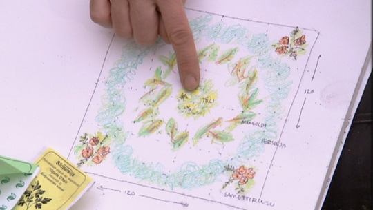 Kyökkipuutarhasta potager. Kuva: Yle