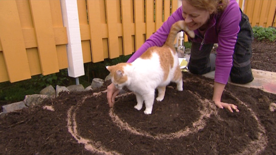 Kyökkipuutarhasta potager. Kuva: Yle