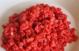 Punajuuriohra.