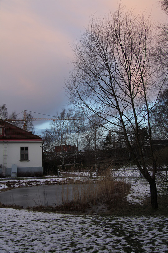 Valokuvasarja Kevät syntyy. Kuva: Ada Pykäläniemi