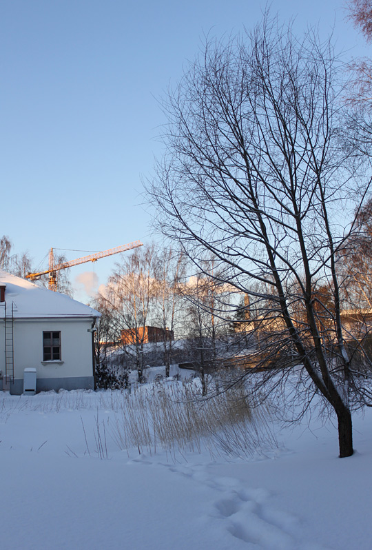 Auringonvaloa ja kirpeää pakkasta. Kuva: Ada Pykäläniemi