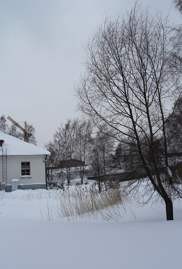 Koskematon hanki. Kuva: Ada PykÃ¤lÃ¤niemi