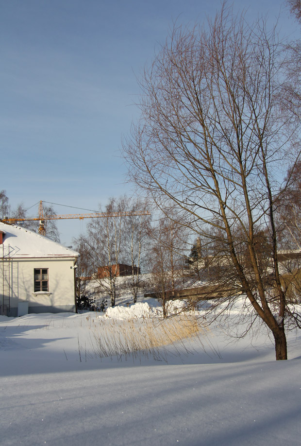 Valon ja varjon aamuista leikkiä. Kuva: Ada Pykäläniemi