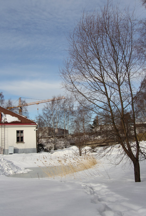 Tyyntä myrskyn edellä? Kuva: Ada Pykäläniemi