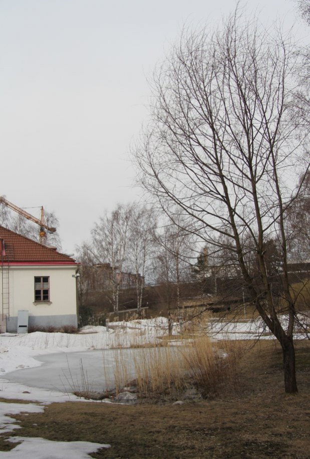 Syntiä rannassa. Kuva: Ada Pykäläniemi