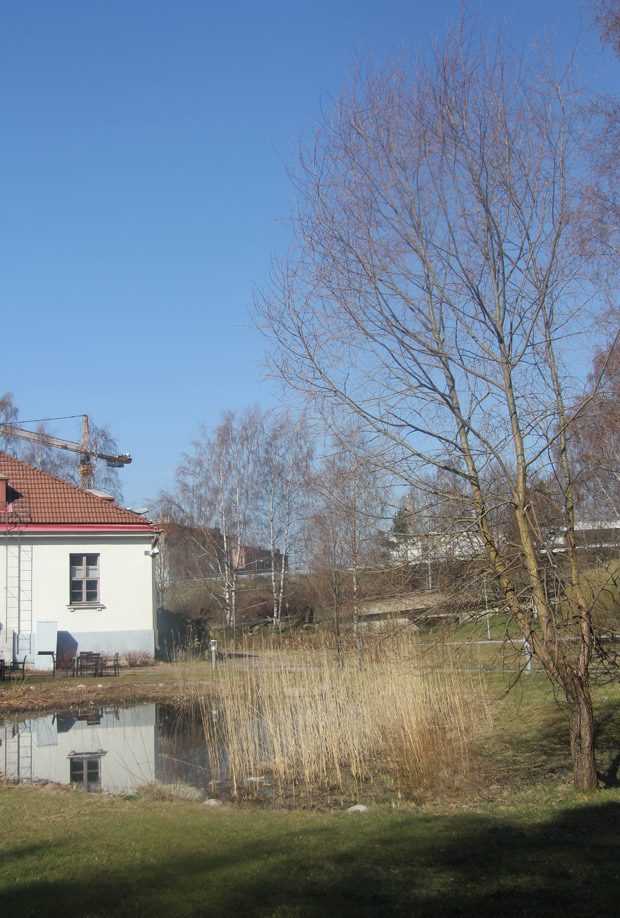 Kuva: Ada Pykäläniemi