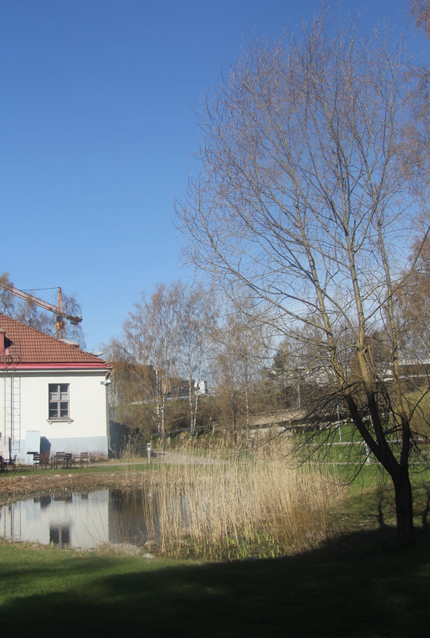 Ohikiitävä hetki. Kuva: Ada Pykäläniemi