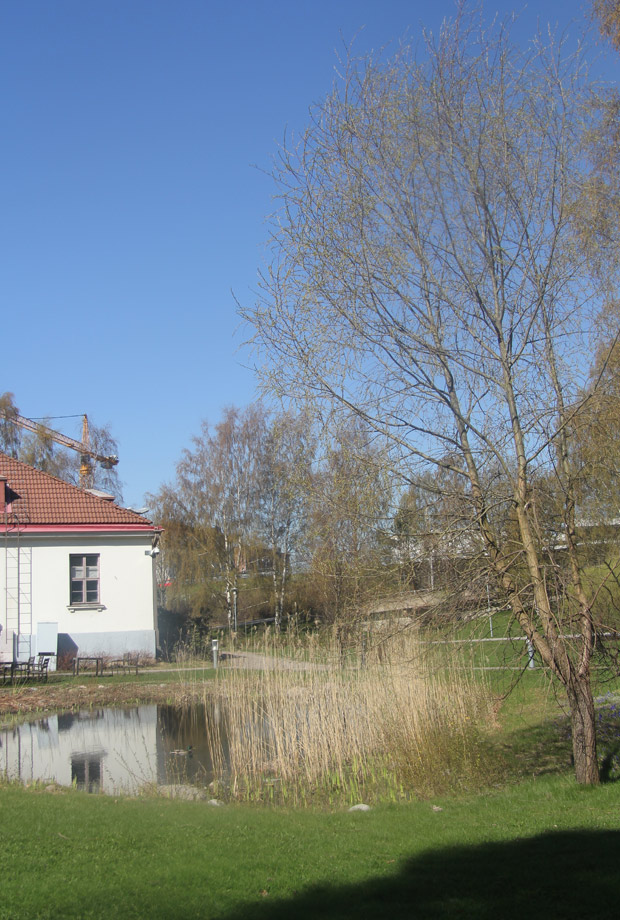 Kuva: Ada Pykäläniemi