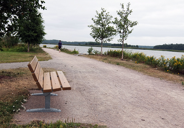 Pilvisen päivän pyöräilyt. Kuva: Siiri Huttunen