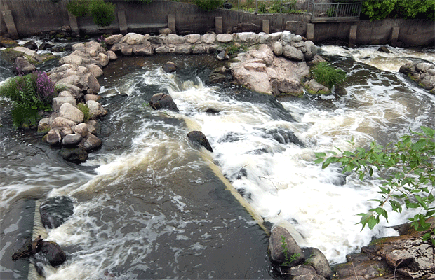Pilvisen päivän pyöräilyt. Kuva: Siiri Huttunen