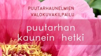 Puutarhan kaunein hetki -valokuvauskilpailun satoa, 2. kuvagalleria. 
