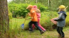 Nyt mennään haravoimaan. Kuva: YLE