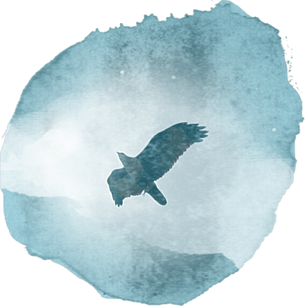 dhanvandari-lintu lentää vesiväreissä