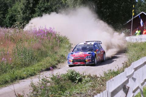 Loeb - Surkee 2.