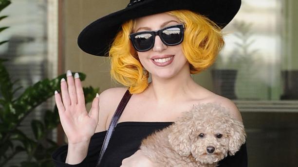 Kuva: EPA / Andreas Pessenlehner