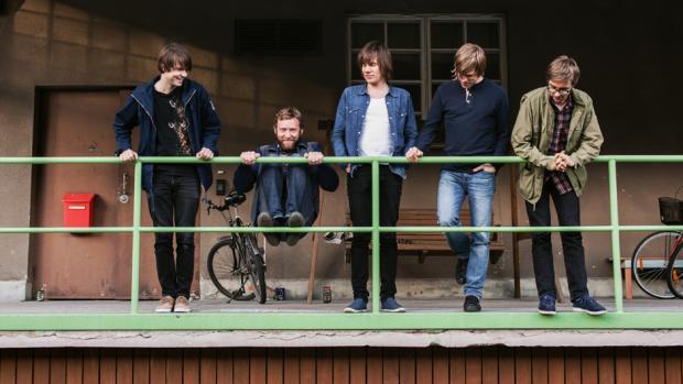 Pöllöt - Kuva: Lauri Hannus